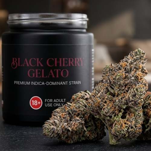 Black Cherry Gelato Premium Weed Strain Black Cherry Gelato Premium Weed Strain