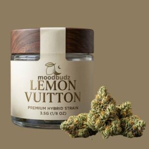 Buy Lemon Vuitton Strain Hybrid Weed