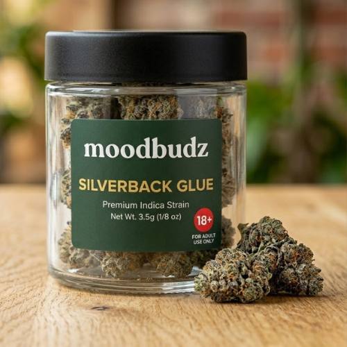 Silverback Glue Strain Indica Weed Silverback Glue Strain Indica Weed