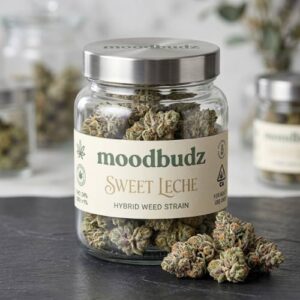 Sweet Leche Strain Hybrid Weed