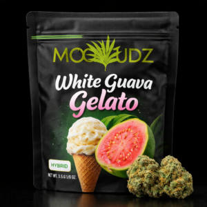 White Guava Gelato