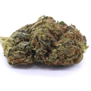 Black Cherry Soda Hybrid Flower - cali weed | cali packs