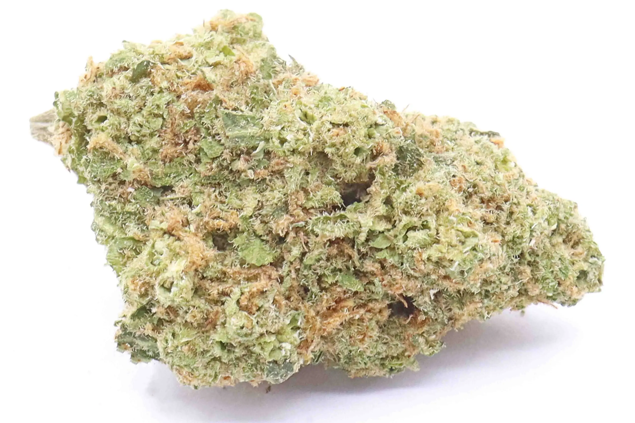 Blueberry Indica Dominant Hybrid Strain - cali weed | cali packs Blueberry Indica Dominant Hybrid Strain - cali weed | cali packs