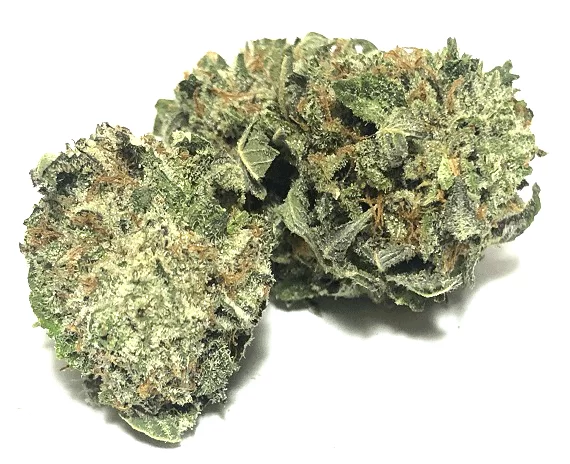 Chemnesia Marijuana Sativa Flower - cali weed | cali packs Chemnesia Marijuana Sativa Flower - cali weed | cali packs