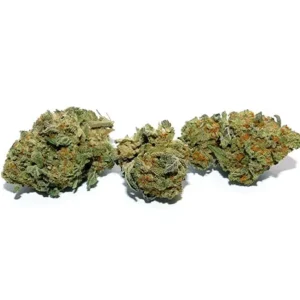 Gushers Indica Dominant Hybrid Strain - cali weed | cali packs