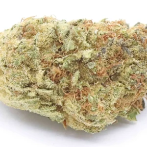 Nightmare Cookies Weed Strain - cali weed | cali packs