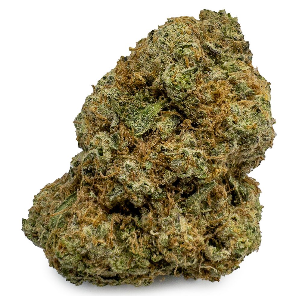 Pine Cone Marijuana Strain - cali weed | cali packs Pine Cone Marijuana Strain - cali weed | cali packs