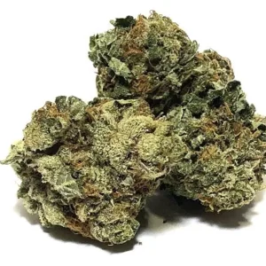 Scout Master Strain - cali weed | cali packs