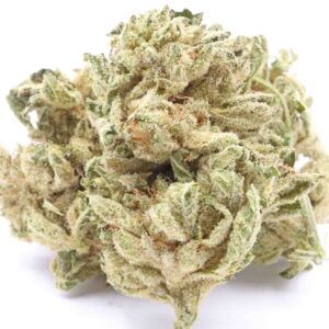 Sour Bubba Cannabis Strain - cali weed | cali packs