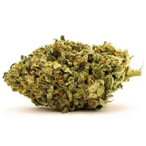 Variety Blue Dream Sativa Weed - cali weed | cali packs