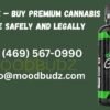 MoodBudz – Buy Premium Cannabis Online Safely and Legally