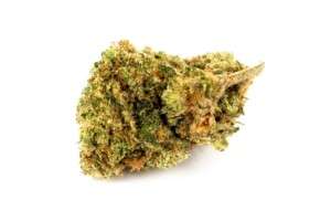 Elmer's Glue Marijuana Strain