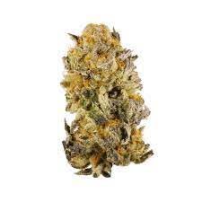 Platinum Girl Scout Cookies Marijuana Strain