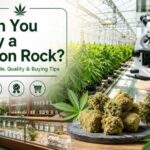can you buy a moon rock