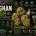 afghan kush