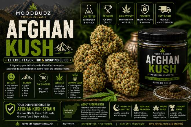 Afghan Kush | Effects, Flavor & THC Guide