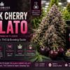 black cherry gelato