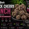 black cherry punch weed