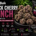 black cherry punch weed