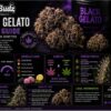 varietà di gelato nero