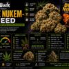duke nukem weed