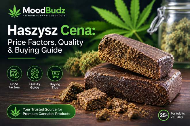 Haszysz Cena: Price Factors, Quality & Buying Guide