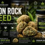 moon rock weed