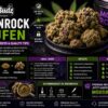 Acquista Moonrock