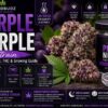 purple nurple strain