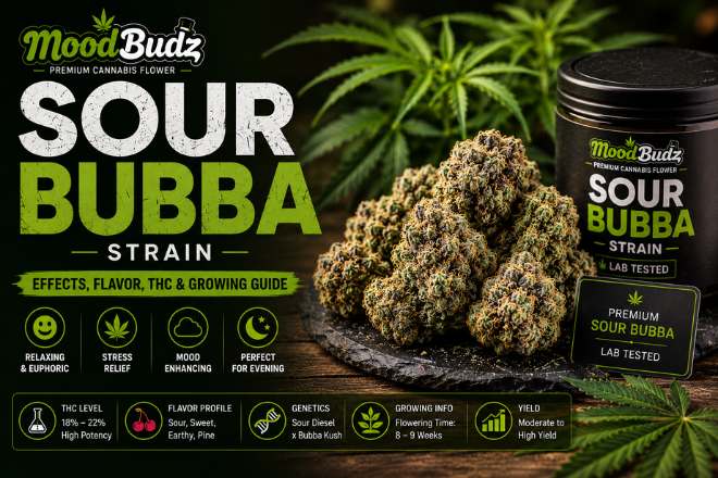 Sour Bubba Strain | Effects, Flavor & THC Guide