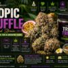 tropic truffle weed strain