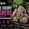 white cherry gusher strain
