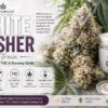 white gusher strain