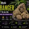 zerbanger strain